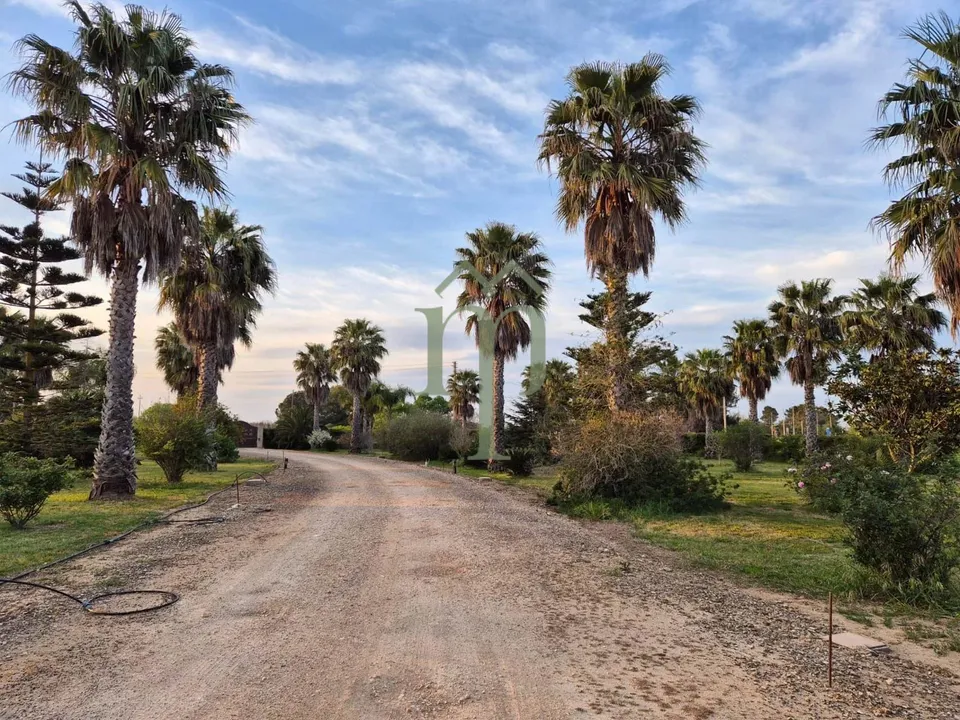 Villa i Mesagne, Brindisi - foto 3